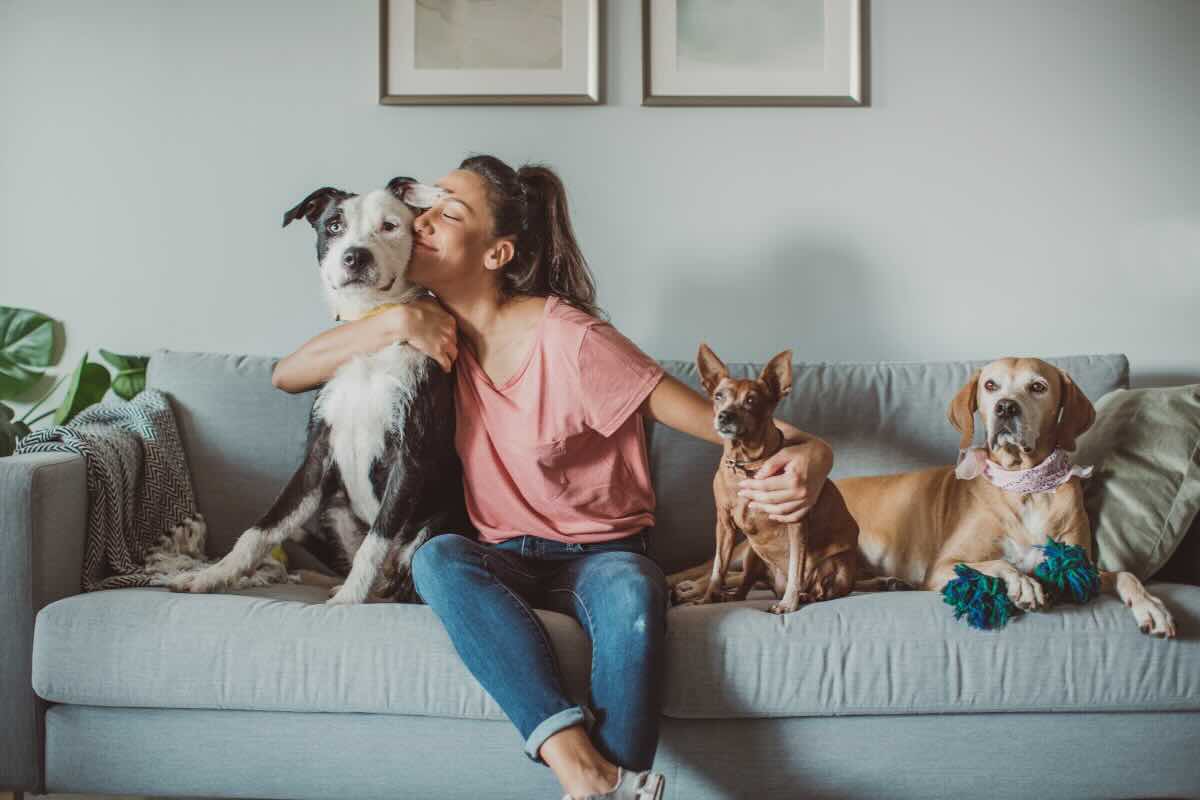 AB 2216 will require landlords to allow pets in their rentals